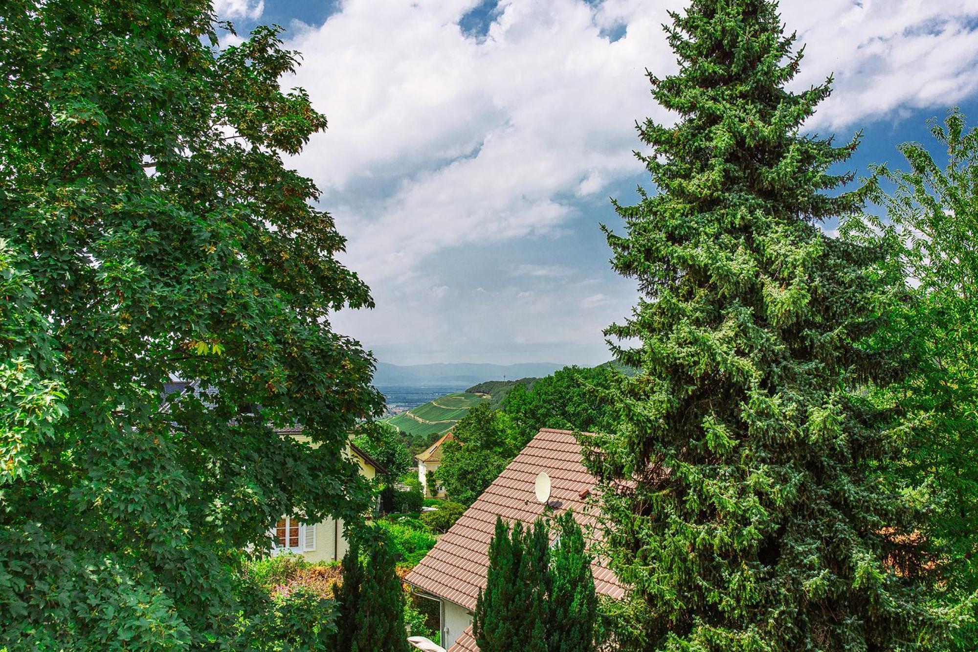 Apartment Am Tannenweg Badenweiler Bagian luar foto